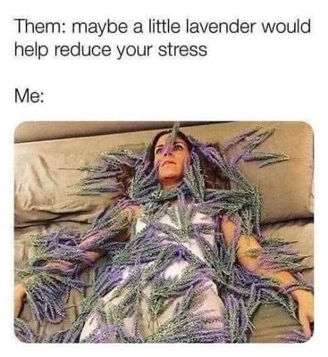 FB_IMG_1747791290549.jpg