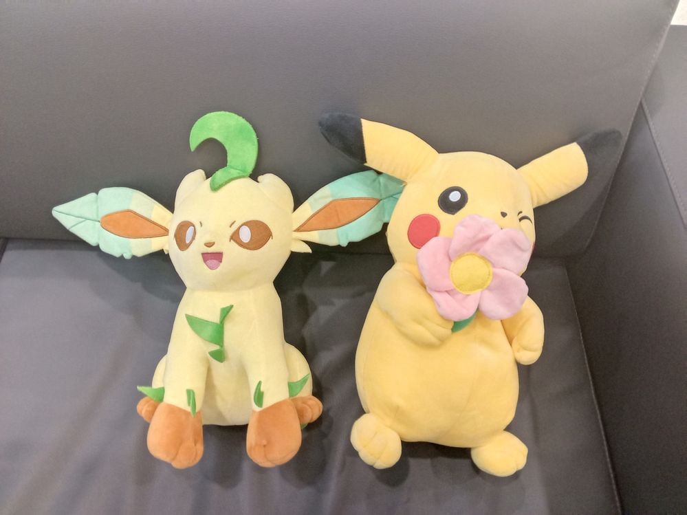 Leafeon & Pikachu