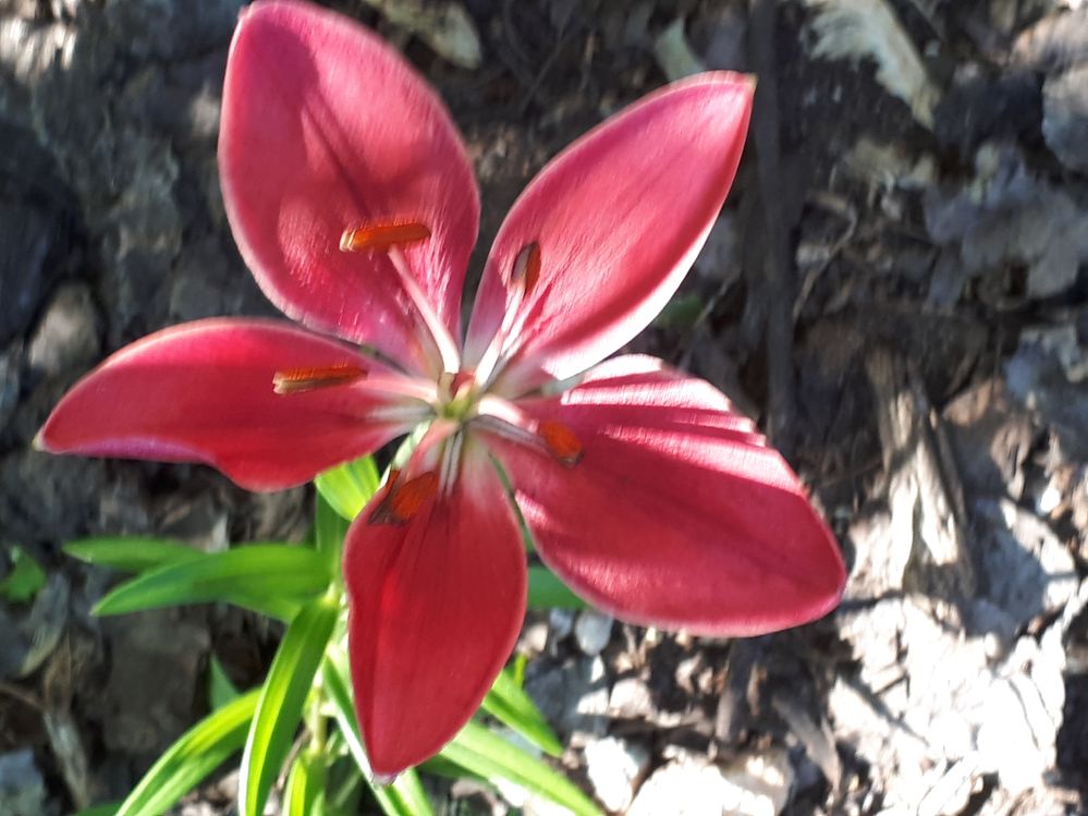 20191218_094413 - Copy - Copy.jpg