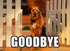 good-bye-dog-goodbye.jpg